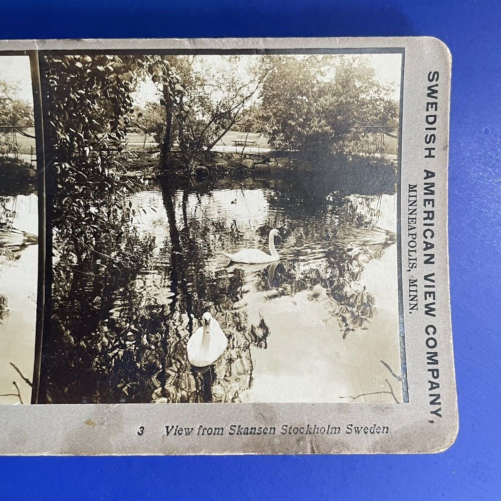 Antique Stereoview Card Swedish American Swans in Lake Skansen Stockholm Sweden